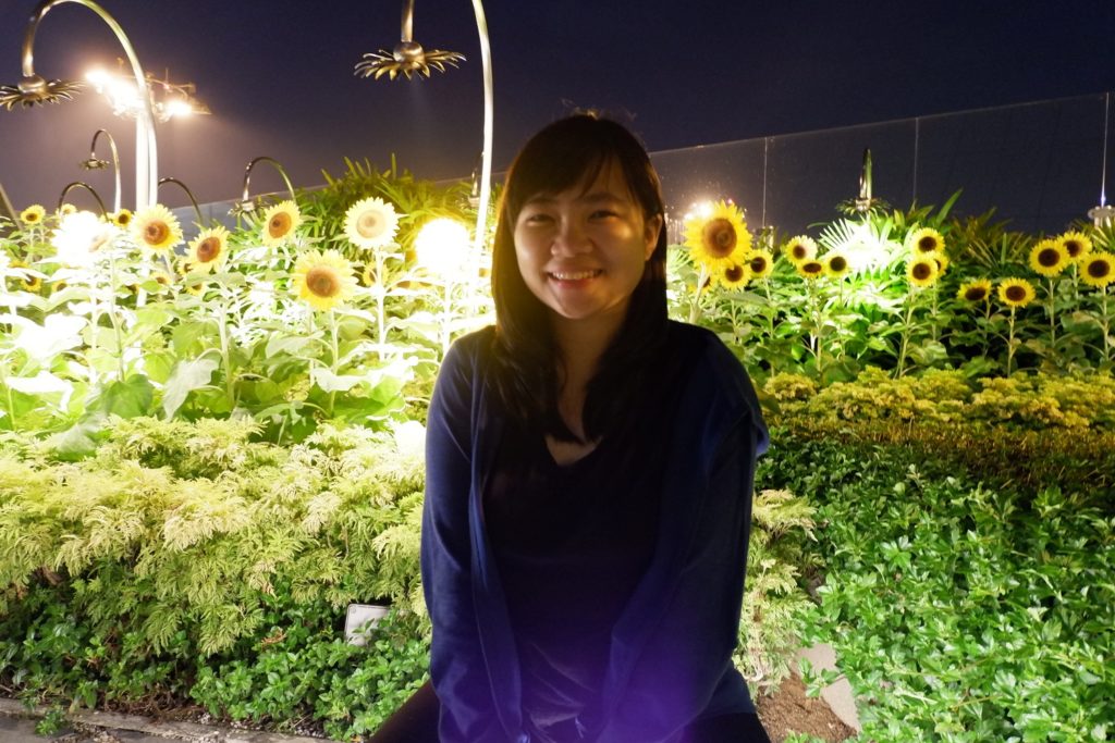 Sunflower Garden at Changi Airport